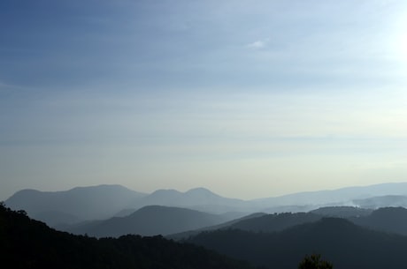 占豪博客 去年11月