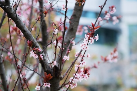 海棠线上文学城网址 同学们在宿舍认真学习网课有目标才有动力