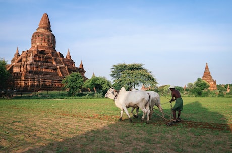 探秘法源寺：中国佛教圣地的历史与美景