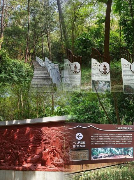 十八罗汉山森林公园：探索自然宝藏