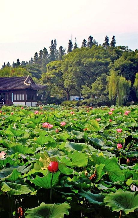 余杭区：杭州的“后花园”，旅游胜地