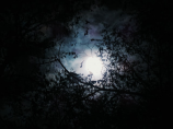 探测器日前成功拍摄到月球背面惊艳“音乐图”