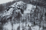 落雪满南山(落雪满南山，奇景美不胜收)