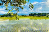 朱家峪(探秘北京最美村子——朱家峪)