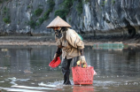 鱼人岛(【鱼人岛】探索世界顶尖的潜水胜地)