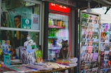 天猫店铺转让平台，助力创业者实现梦想