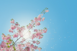 写给远方的家人：春节作文300字