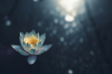 怎么正确地读鄞？ | 正确的鄞音是怎么发音的？