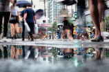 雨刮器什么牌子好(揭秘雨刮器：哪些牌子质量最好？)