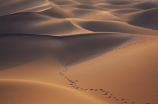 沙漠探险(沙漠探险：挑战未知的世界)