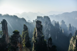 读《迎春》