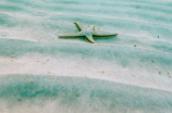 淮海省的自然风光及旅游推荐
