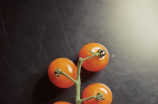 自家制作美味西红柿炖牛腩的做法教程