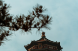北京龙泉寺(北京龙泉寺：古老而庄严的释教圣地)