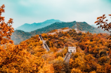 北京证券业协会(北京证券业协会发布金融监管报告)