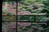 雷鸣山(探秘雷鸣山：神秘的自然异景)