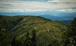 南京红山森林动物园（南京红山森林动物园——自然与野生动物的乐园）