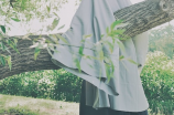 武定狮子山(武定狮子山：探秘中国古老的石雕艺术)