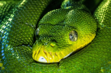 python教程(Python入门教程：快速上手Python编程)