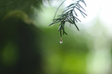 等风雨经由，不负彩虹年华